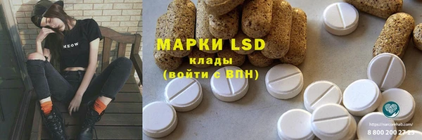 прущие грибы Арсеньев