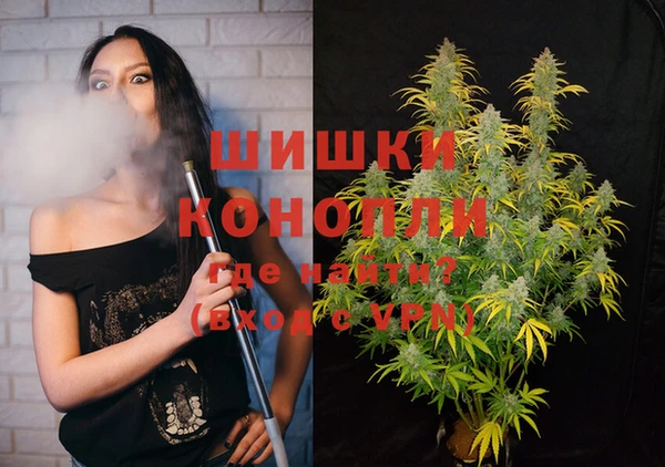 трава Аркадак