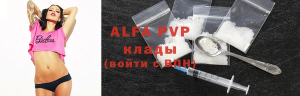 прущие грибы Арсеньев