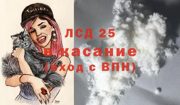 прущие грибы Арсеньев