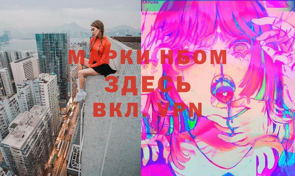 прущие грибы Арсеньев
