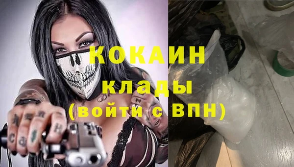 прущие грибы Арсеньев